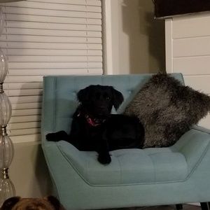 Meet your Posher, Angie